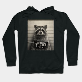 Mugshot Series 4 (Raccoon) by Buck Tee Hoodie